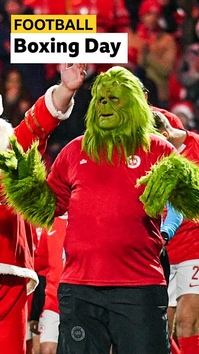 Fan dresses as the Grinch at an Irish Premiership match