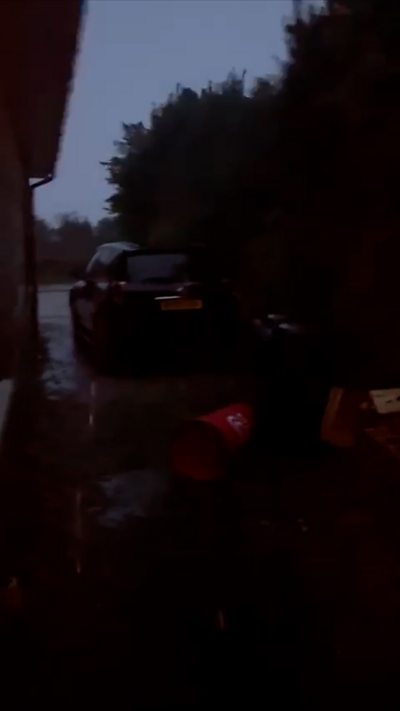 Trees blowing in wind next to a car