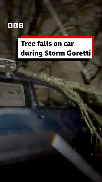 A man films a tree that fell onto a car in Amherst, Guernsey during Storm Goretti