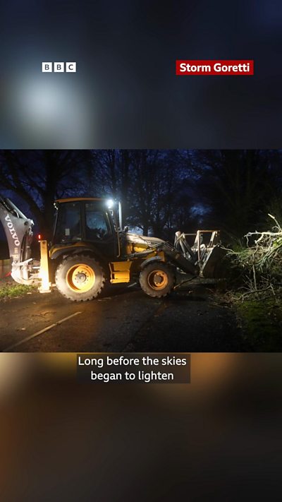 A JCB clears fallen trees from a road at dawn