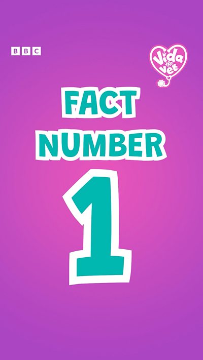 Vida the Vet Animal Fact Number 1