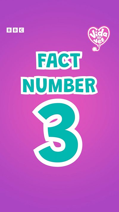 Vida the Vet: Animal Fact Number 3
