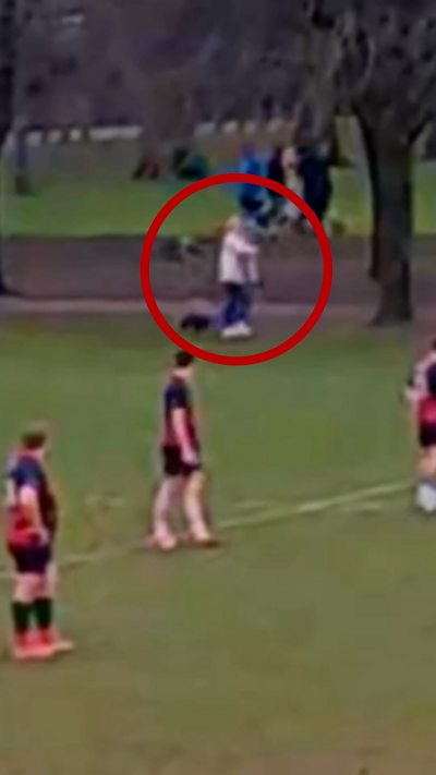 Baw ci yn 'broblem enfawr' i glwb rygbi - hyd yn oed yn ystod gêm