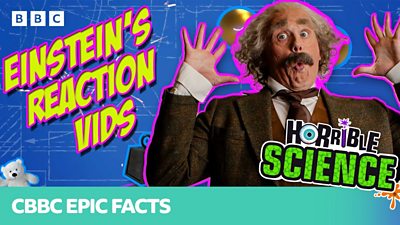 BBC Children’s & Education announces new launches to reach more families where they are