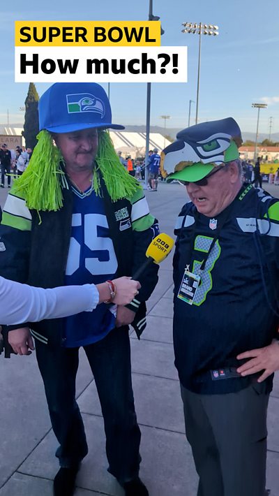 Two Seattle Seahawks fan