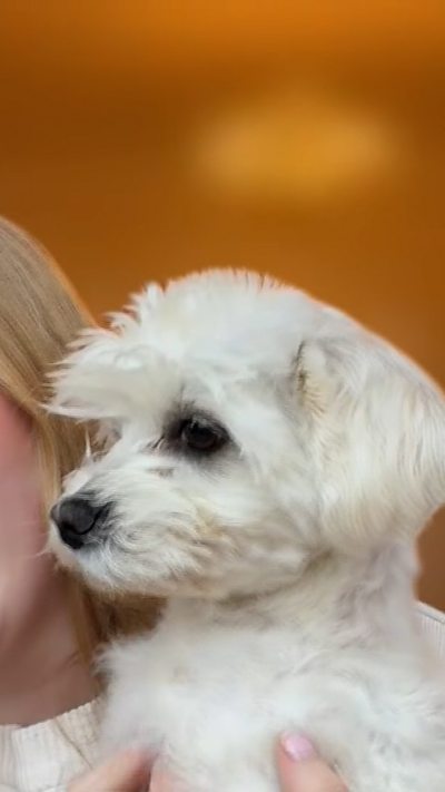 Listen to Mornings on BBC Sounds.