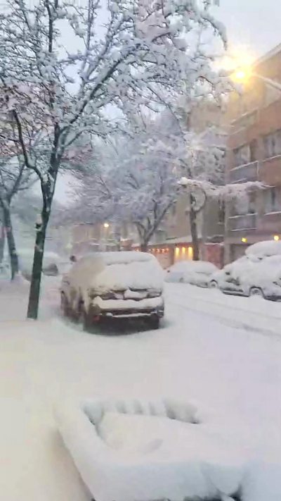 Trees and cars drenched in snow.