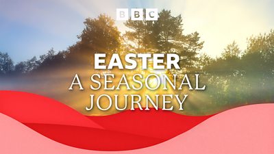 Easter A Seasonal Journey is written in white text against a background of sunlight shining through trees