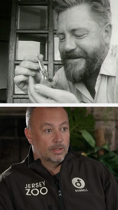 A split image showing a black and white image of Gerald Durrell above the current Jersey Zoo director