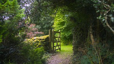 A wooden gateway in a Lake District garden.