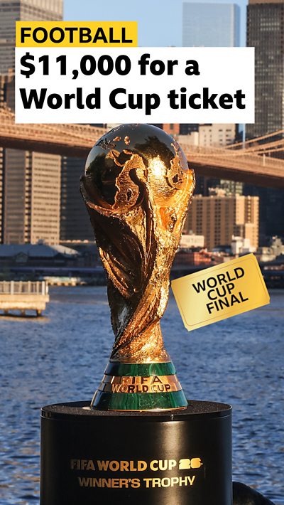 Why are they so expensive?