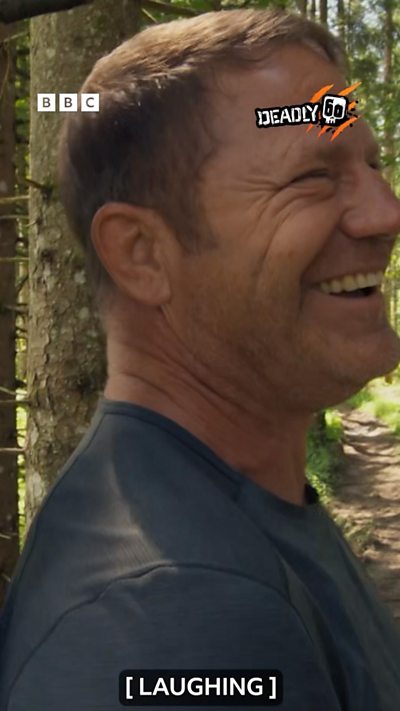 This bear can smell Steve!