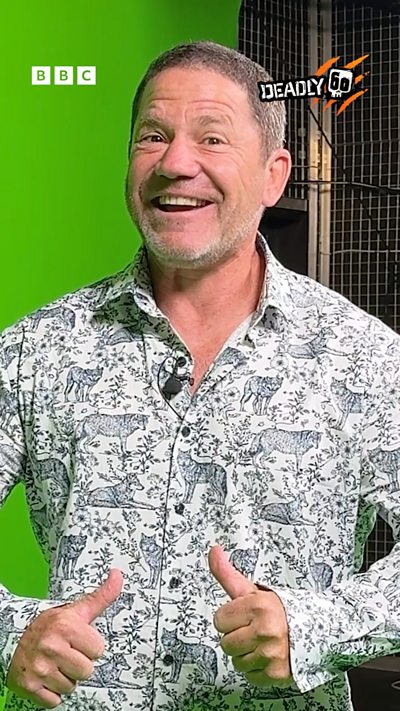 Wrong answers only!!