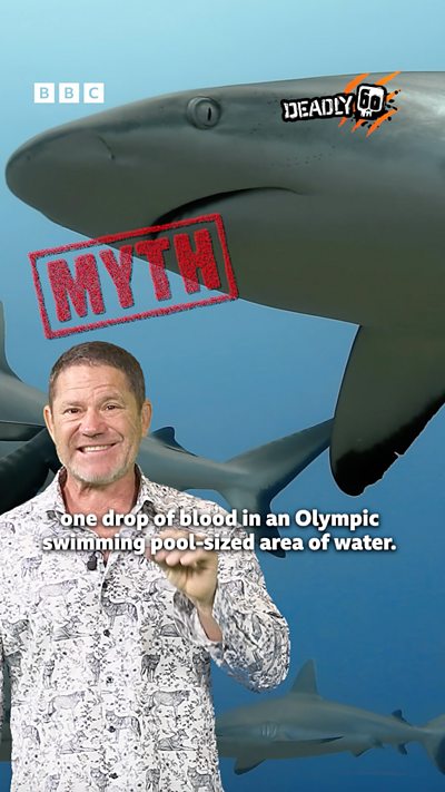 What you thought you knew is wrong!