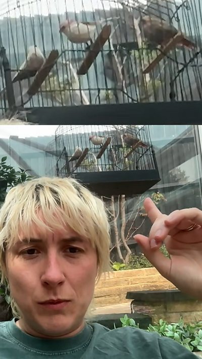 Listen to The Saturday Show on BBC Sounds