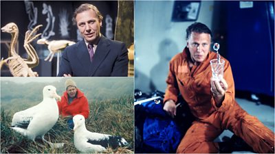 Clockwise from top left: Sir David standing in studio in a suit in front of a series of animal skeletons in 1973, in an orange jumpsuit experiencing zero gravity in The Living Planet in 1984, and sitting behind two wandering Albatross on Bird Island, South Georgia while filming for The Living Planet in 1984.