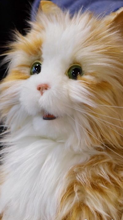 An animatronic, ginger cat.