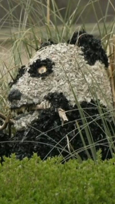 A model panda eating a stick