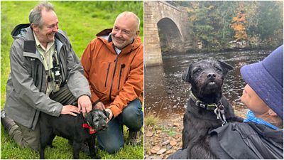 Ted Gone Fishing : ce qu'il faut savoir — image 6