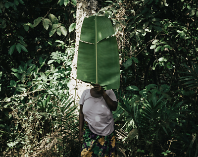 Haja hidden by a leaf