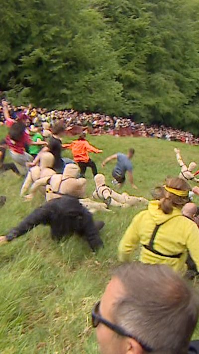 Group of people rolling down a steep hill after a wheel of cheese.