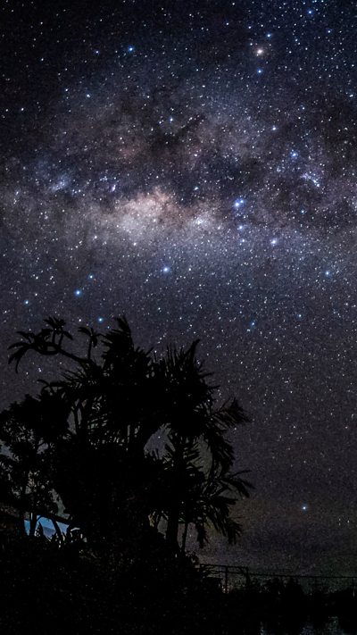 A starry night sky, with part of the Milky Way visible, above a tree