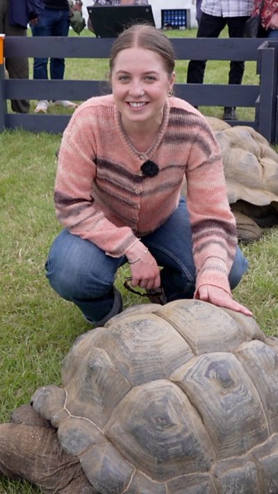 woman patting a giant tortoise