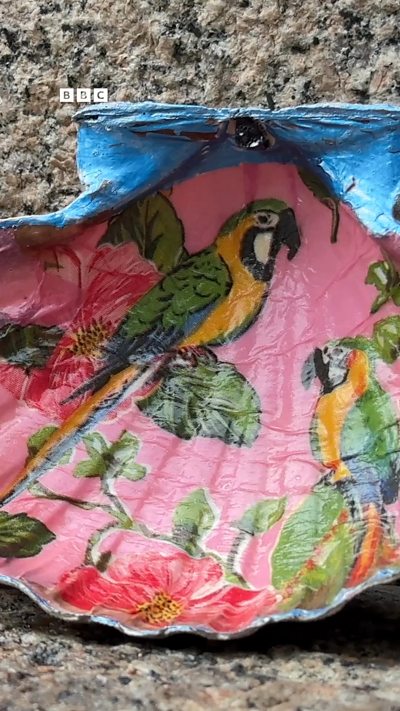 A shell decorated with a painting of two yellow and green parrots