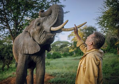 Chris Packham and an elephant in Kenya