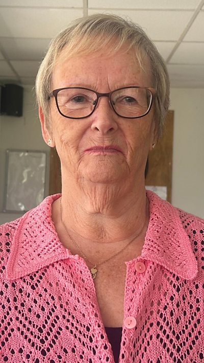 Yr 'hunllef' o fyw gyda 'phla o glêr' yn ardal Llanelli