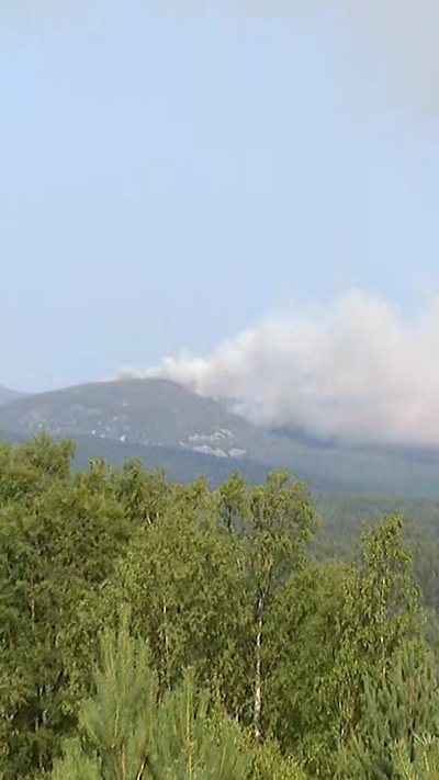 Smoke billow across hills in the distance with trees in the foreground
