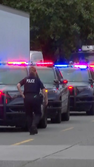 Multiple police cars are seen with red and blue flashing lights.