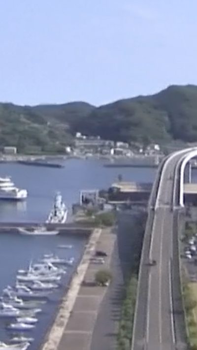 A bridge is seen to the right of the picture, with water to the left.