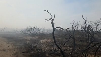 Aftermath of Suffolk wildfire
