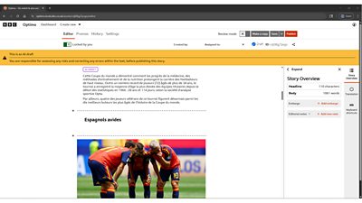 Screengrab of the BBC World Service AI-assisted translation tool being used to translate a news article. 