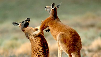 Australia's Red Centre