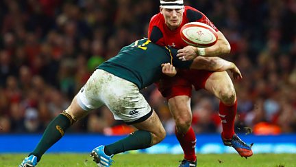 Autumn International: Wales v South Africa