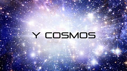 Y Cosmos: Bywyd Estron