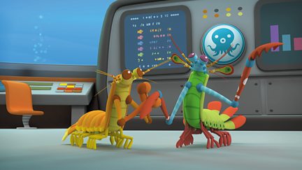 Octonauts and the Mantis Shrimp