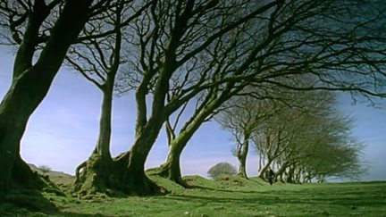 Earth Pilgrim - A Year on Dartmoor