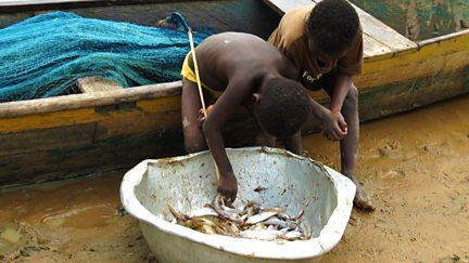Ghana's Child Labourers