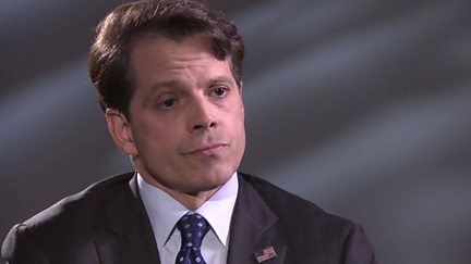 Anthony Scaramucci, Executive Committee, US President-elect's Transition Team