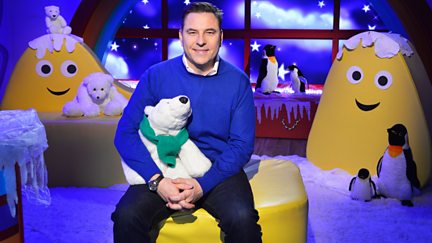 David Walliams - The Bear Who Went Boo!