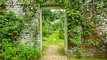 A Year in an English Garden: Flicker & Pulse