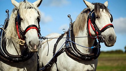 Ploughing