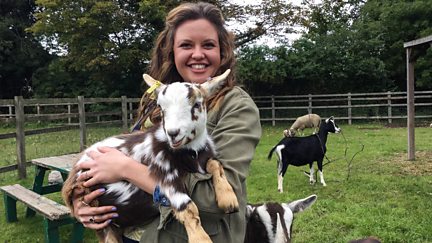 Spritz and Blitz the Goats