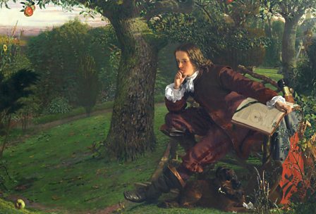 Isaac Newton (1642-1727), English mathematician and astronomer, discovering  the notion of earth gravity through an apple falling from an apple tree of  Woolsthorpe.