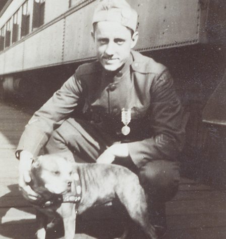 was sgt stubby a pitbull