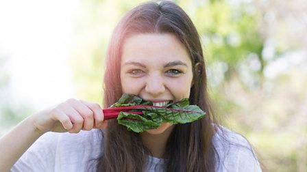 Vegan v flexitarian – which will save the planet? - BBC Food