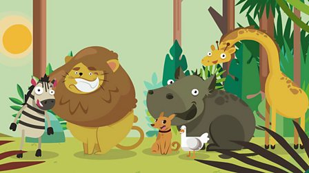 Animals - KS2 The World Around Us - BBC Bitesize